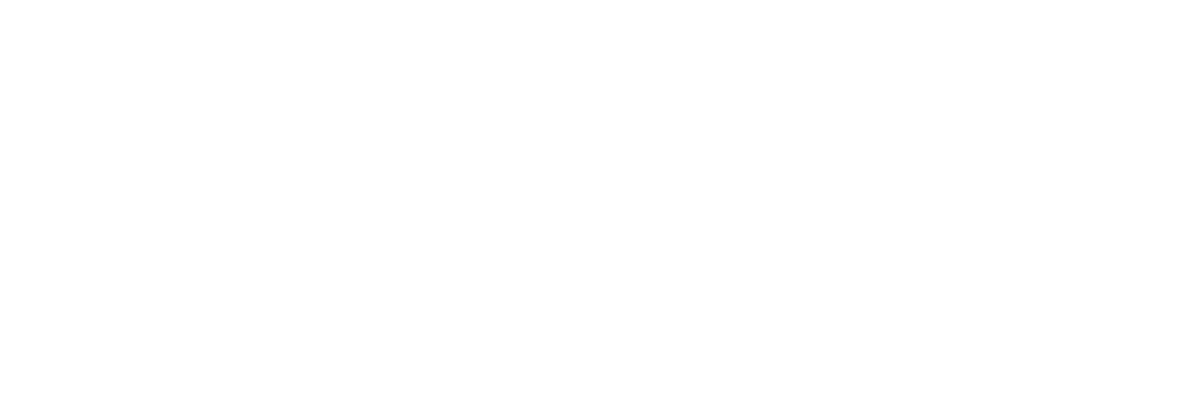 Law Office of David P. Shapiro