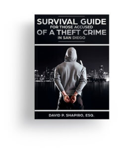 theft book